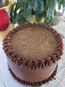 King Obama says, "Eat Cake, America!"